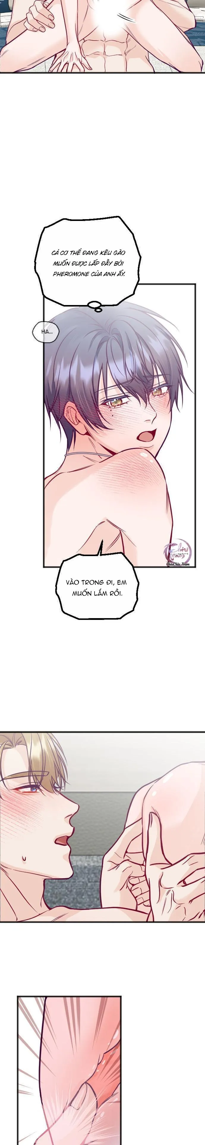 Người Tình Thế Thân Của Alpha Chapter 15 Trang 22