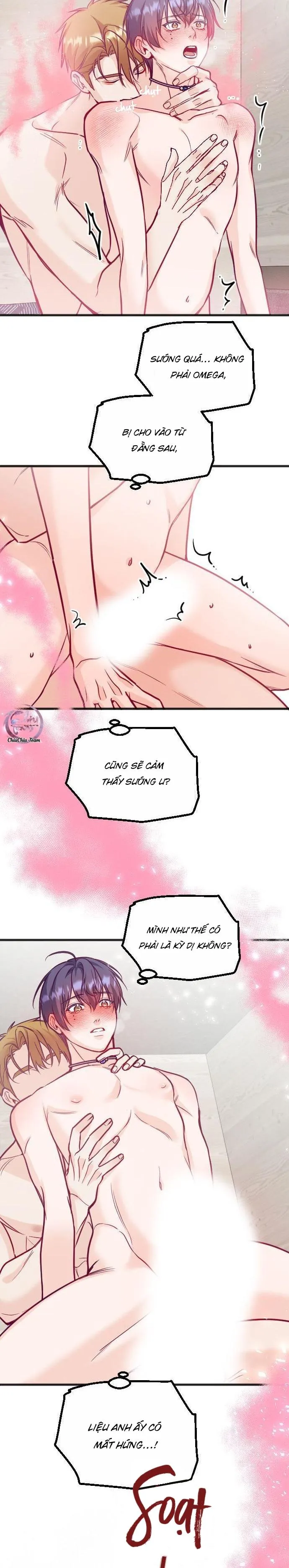 Người Tình Thế Thân Của Alpha Chapter 15 Trang 25