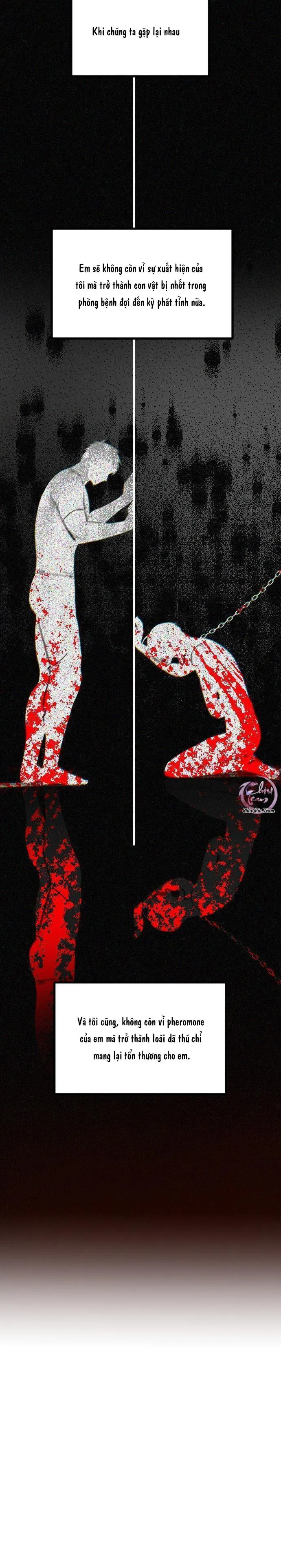 Người Tình Thế Thân Của Alpha Chapter 15 Trang 30
