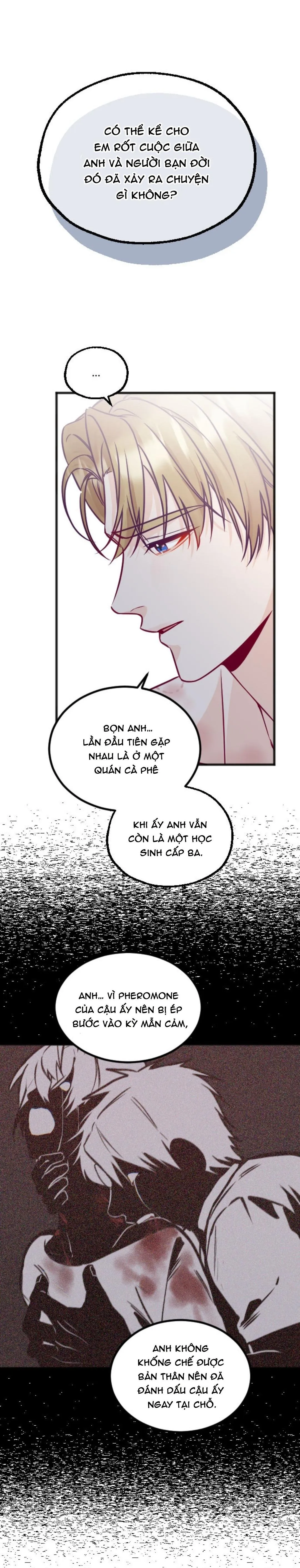 Người Tình Thế Thân Của Alpha Chapter 16 Trang 11