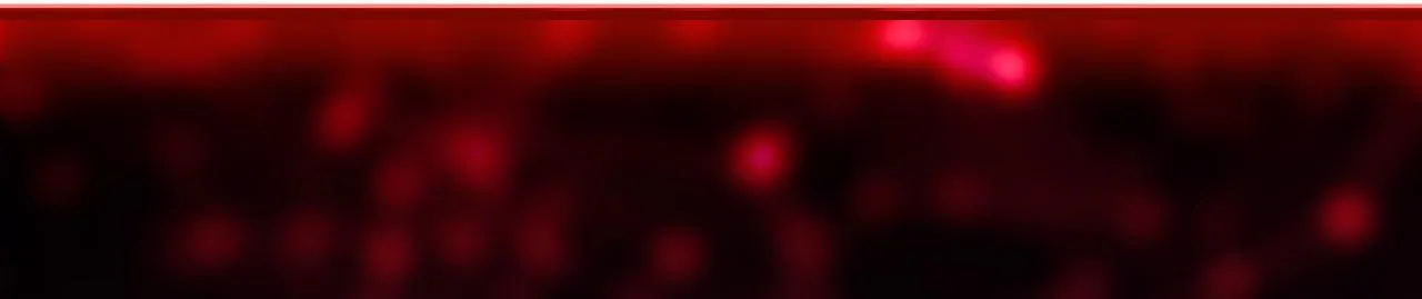 Người Trong Gương (Drop) Chapter 14 Trang 13