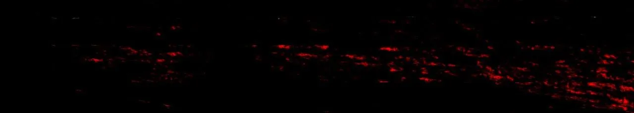 Người Trong Gương (Drop) Chapter 19 Trang 42