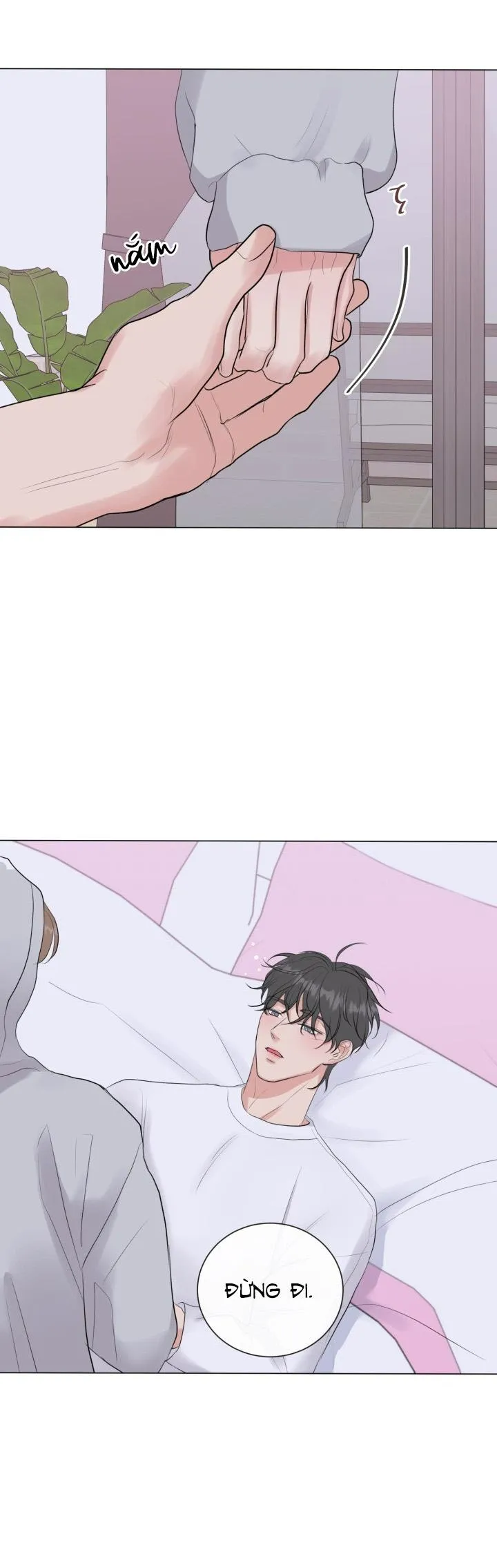 Người Yêu Hiếm Hoi Chapter 11 Trang 22