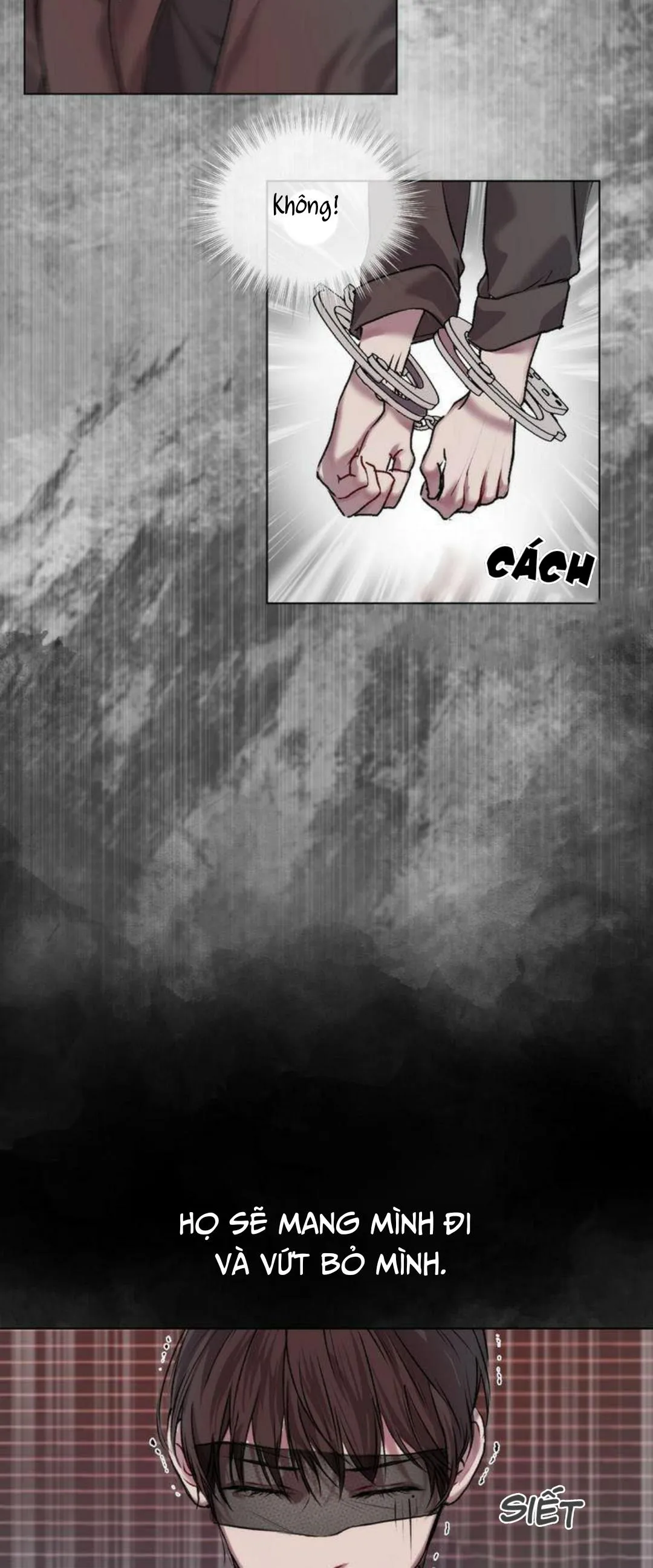 Nguồn Gốc Của Loài Chapter 5 Trang 4