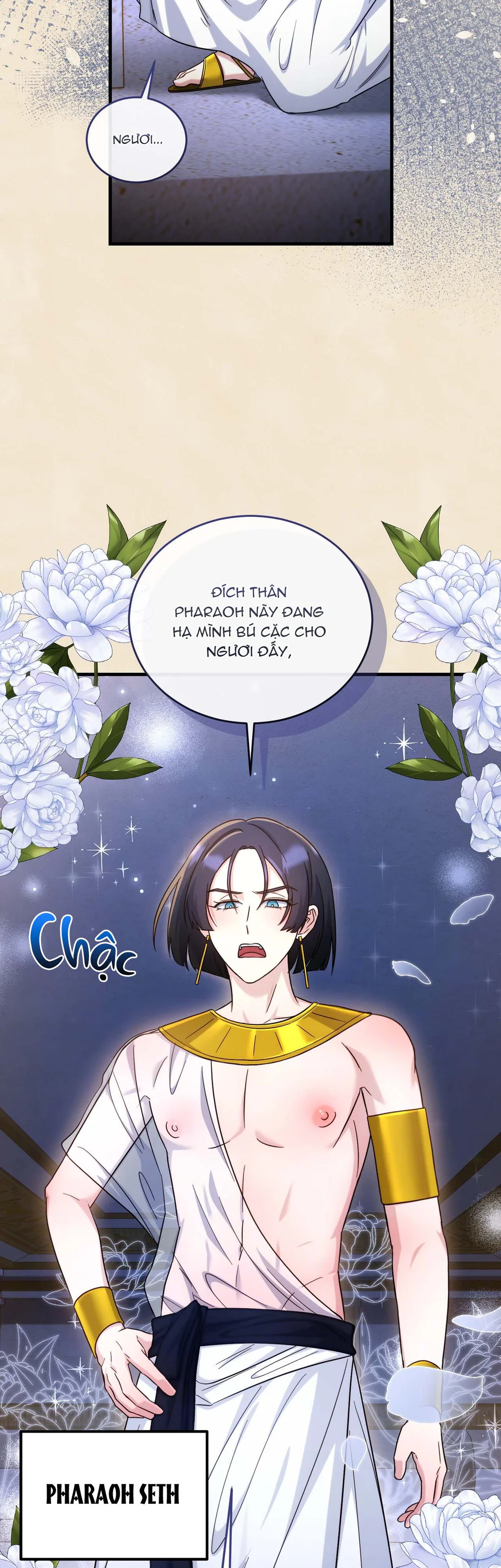 Nguồn gốc của sự sùng bái Pharaoh Ai Cập Chapter 0 Trang 10