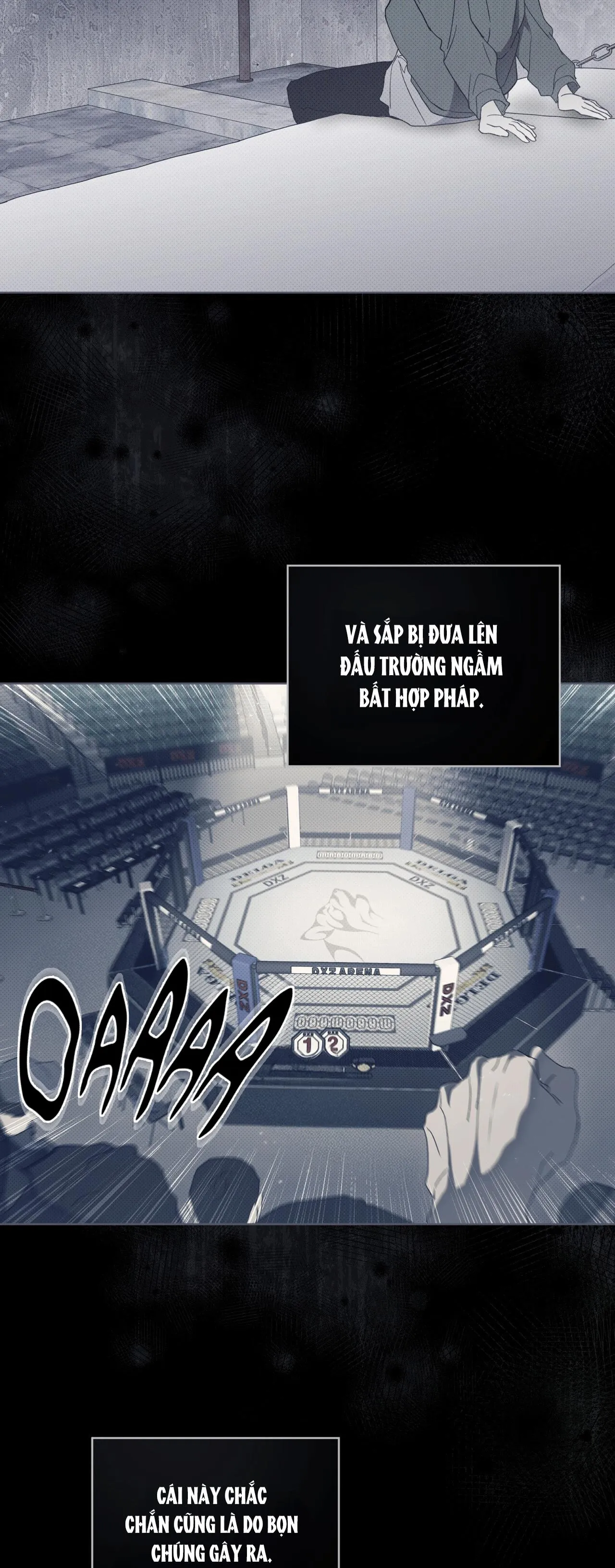 NGUỒN GỐC TIẾN HÓA Chapter 2 Trang 22