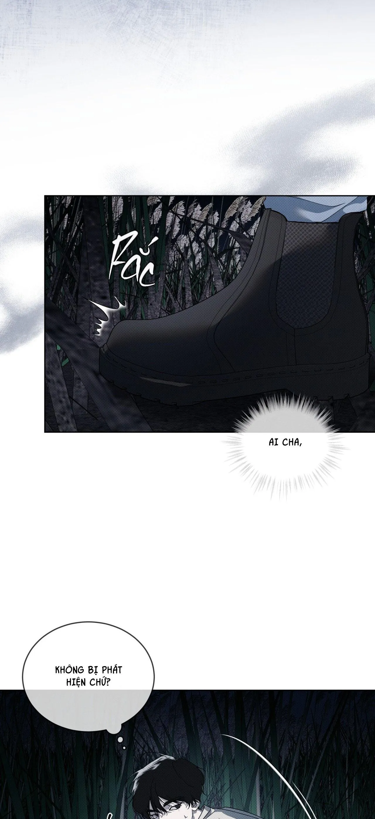 NGUỒN GỐC TIẾN HÓA Chapter 13 Trang 14