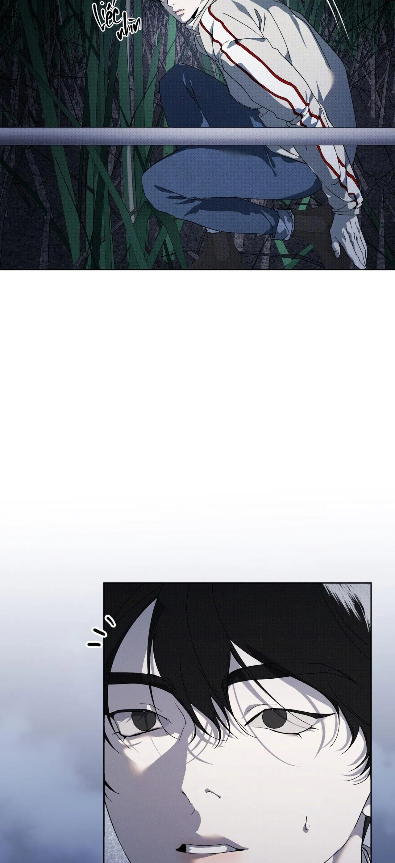 NGUỒN GỐC TIẾN HÓA Chapter 13 Trang 15