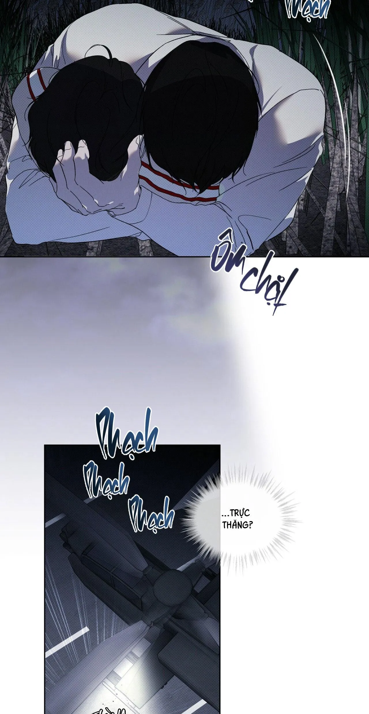 NGUỒN GỐC TIẾN HÓA Chapter 13 Trang 51