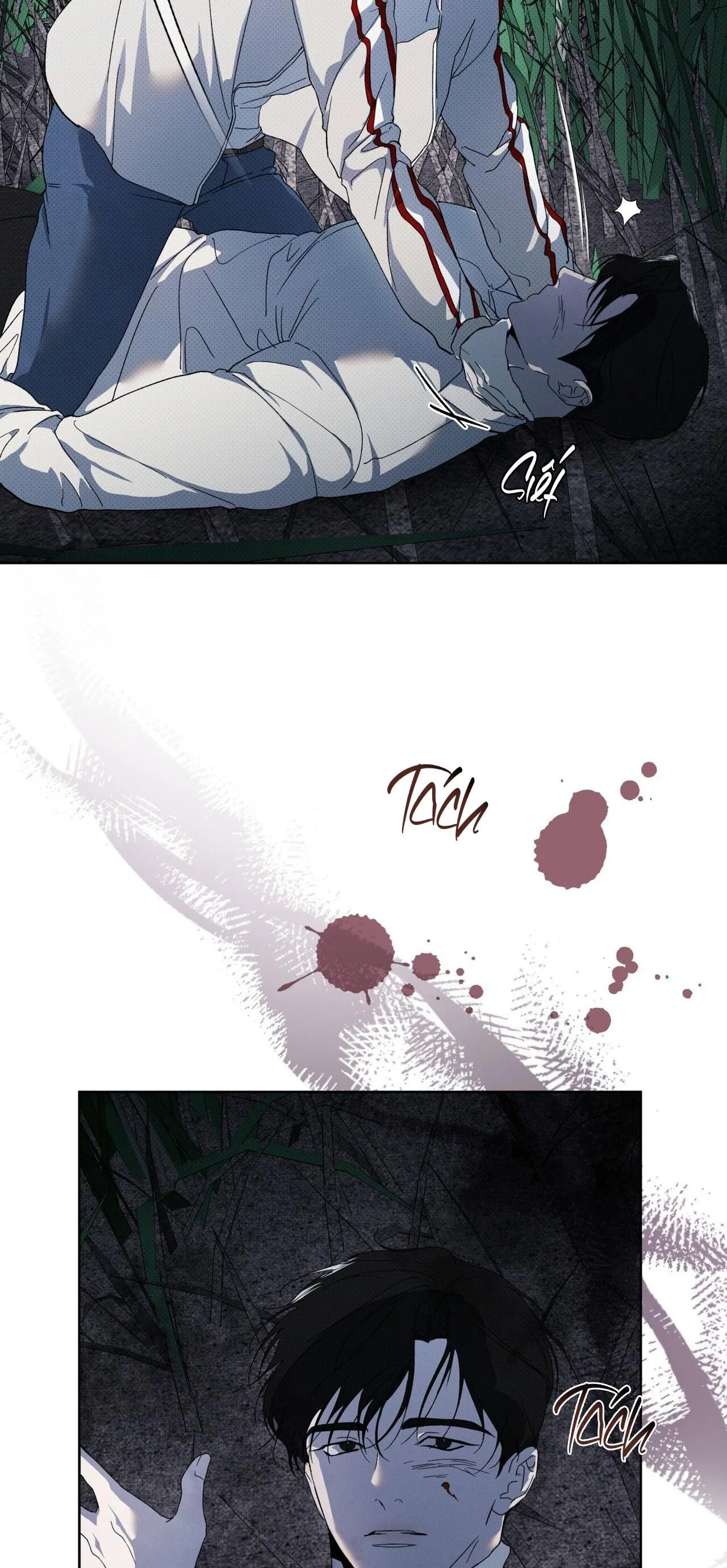 NGUỒN GỐC TIẾN HÓA Chapter 13 Trang 59