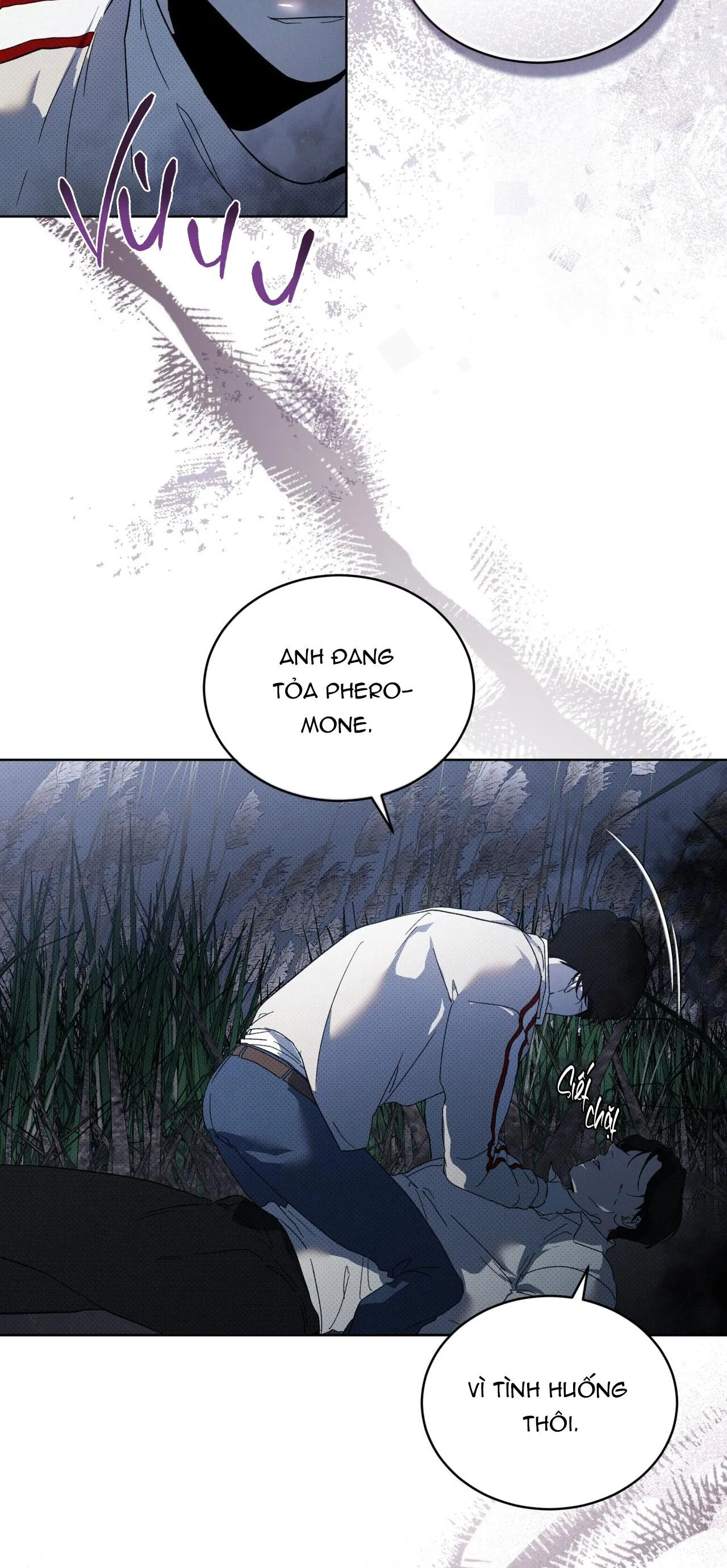 NGUỒN GỐC TIẾN HÓA Chapter 13 Trang 61