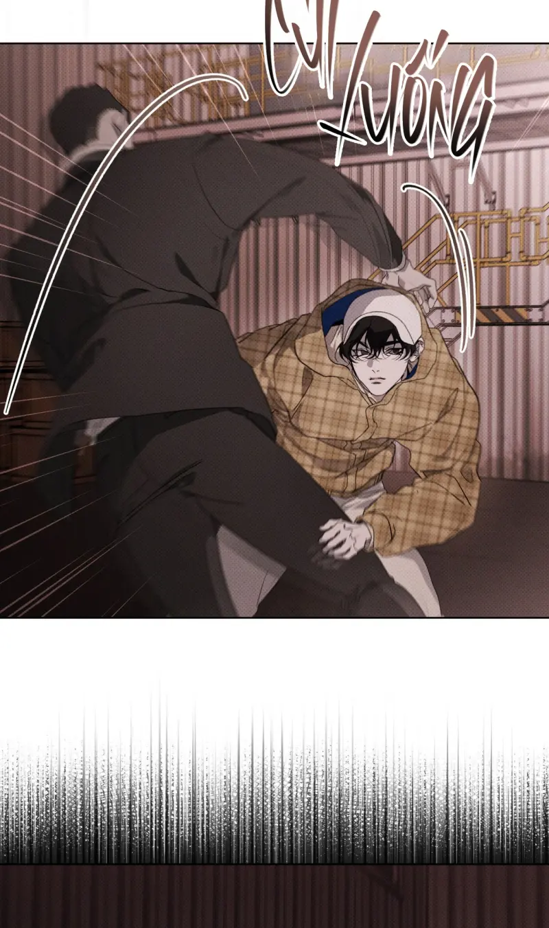 NGUỒN GỐC TIẾN HÓA Chapter 24 Trang 56