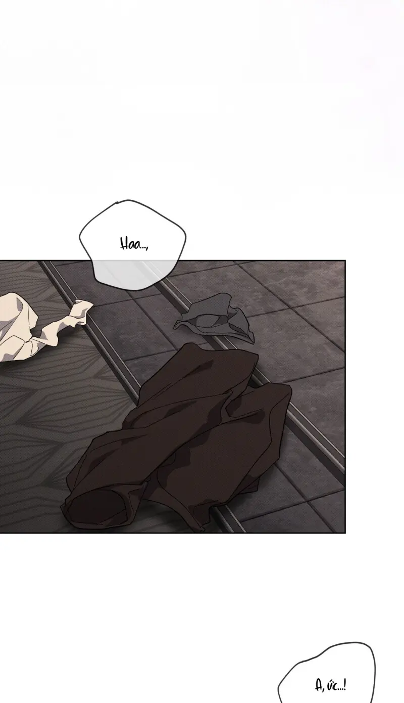 NGUỒN GỐC TIẾN HÓA Chapter 26 Trang 29