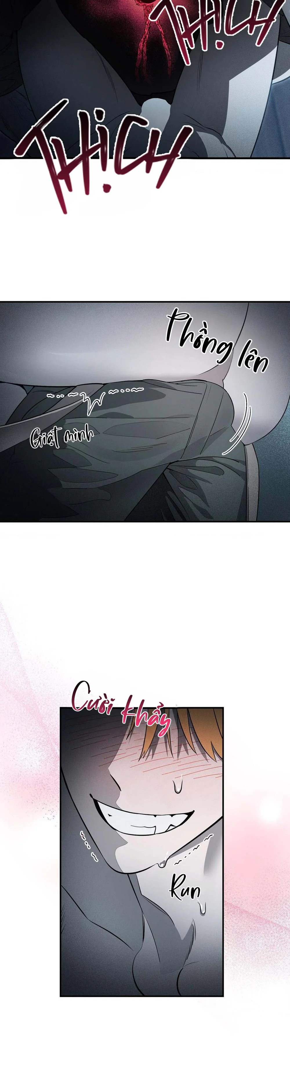 Nguyện Ở Lại Trong Bóng Tối Chapter 5 Trang 10