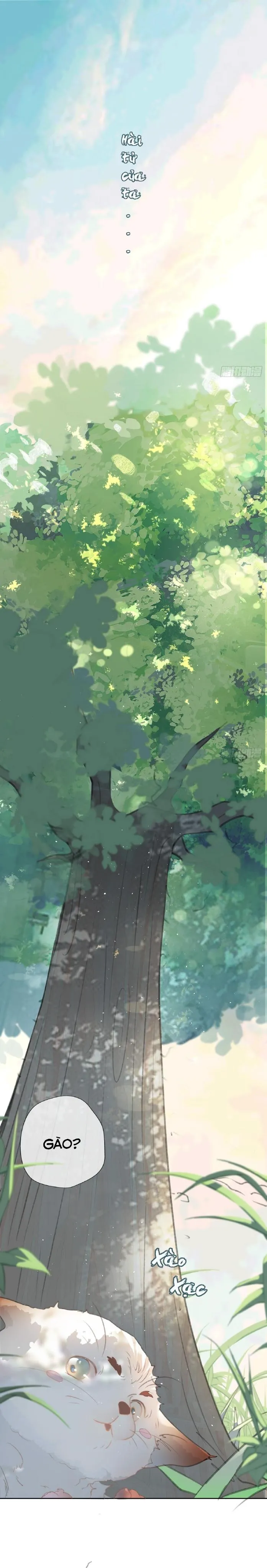 NGUYỆT TRỤY TRÙNG MINH Chapter 1 Trang 23