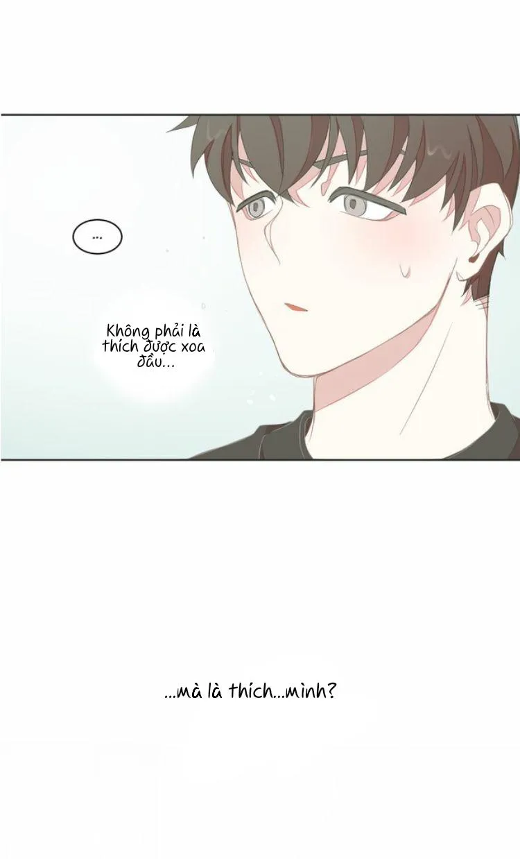 Nhà Nghỉ BL Chapter 8 Trang 3