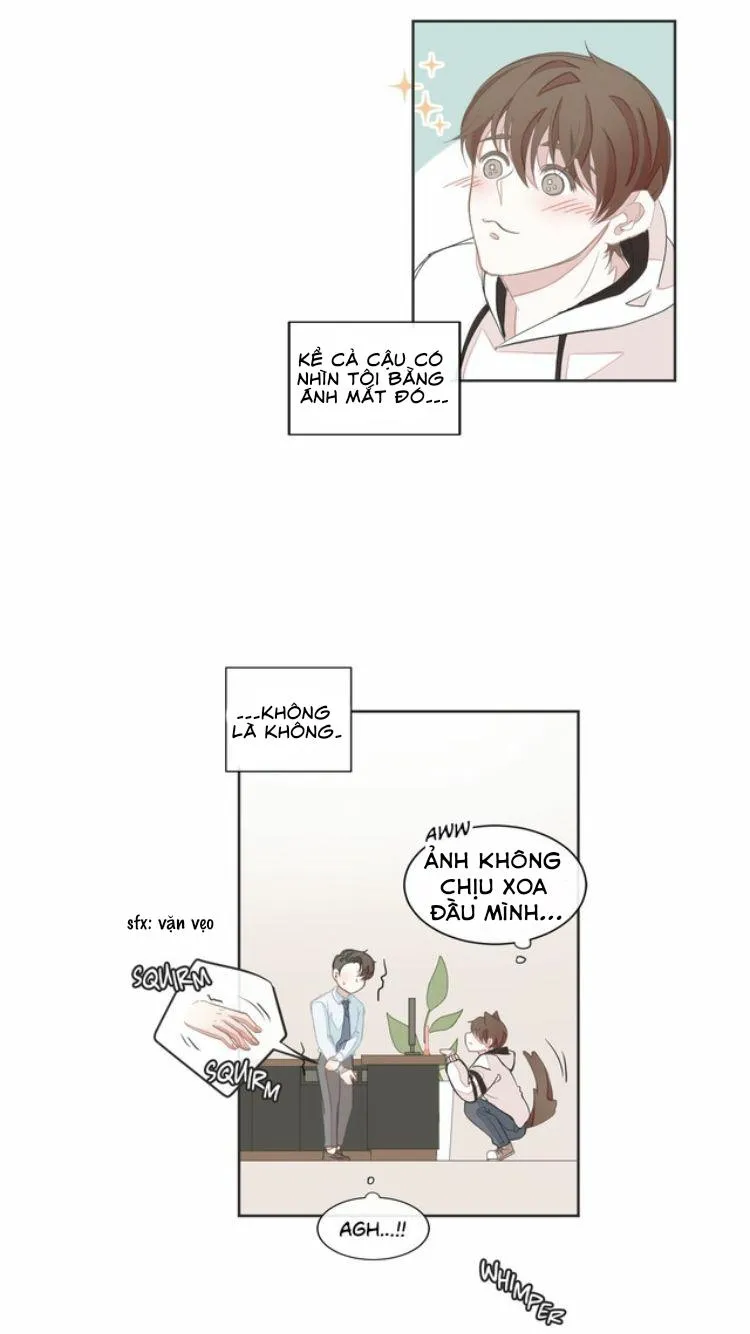 Nhà Nghỉ BL Chapter 8 Trang 19