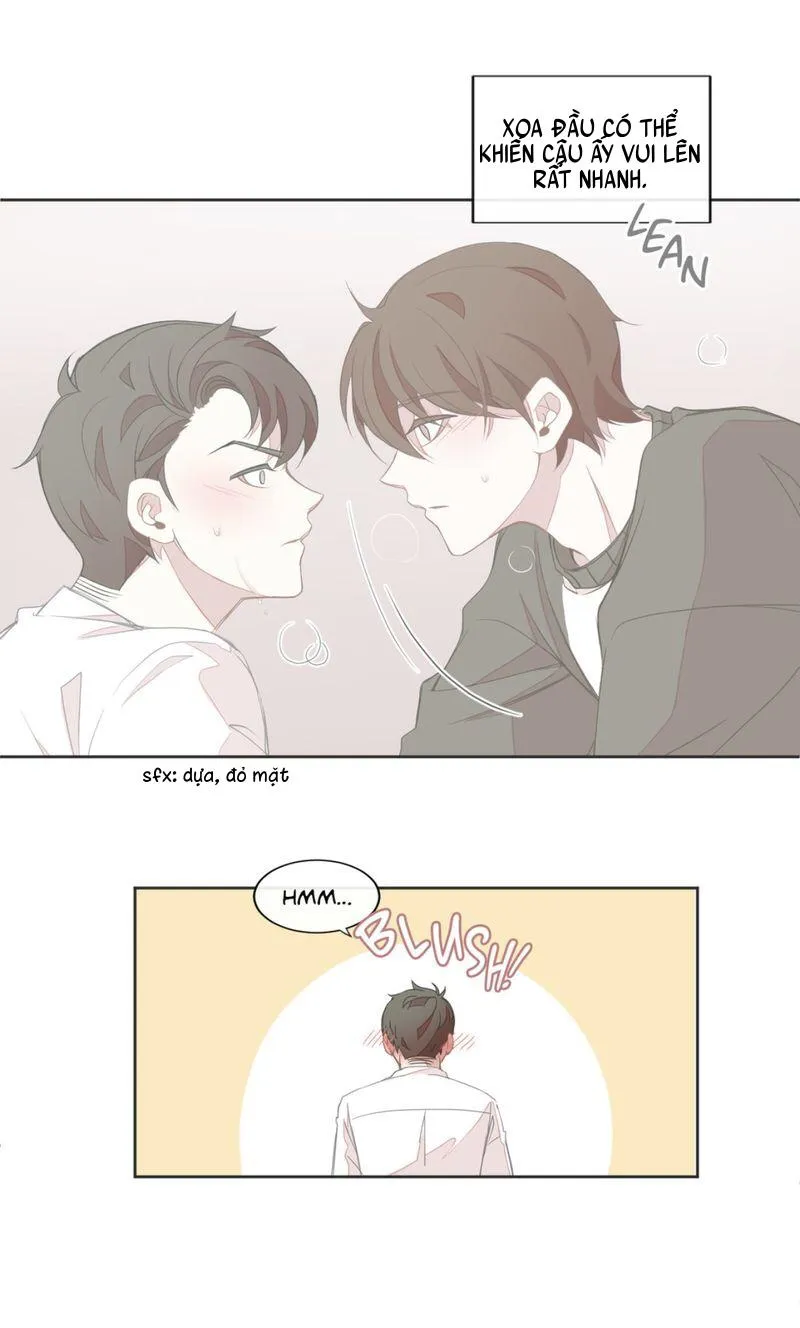 Nhà Nghỉ BL Chapter 18 Trang 12