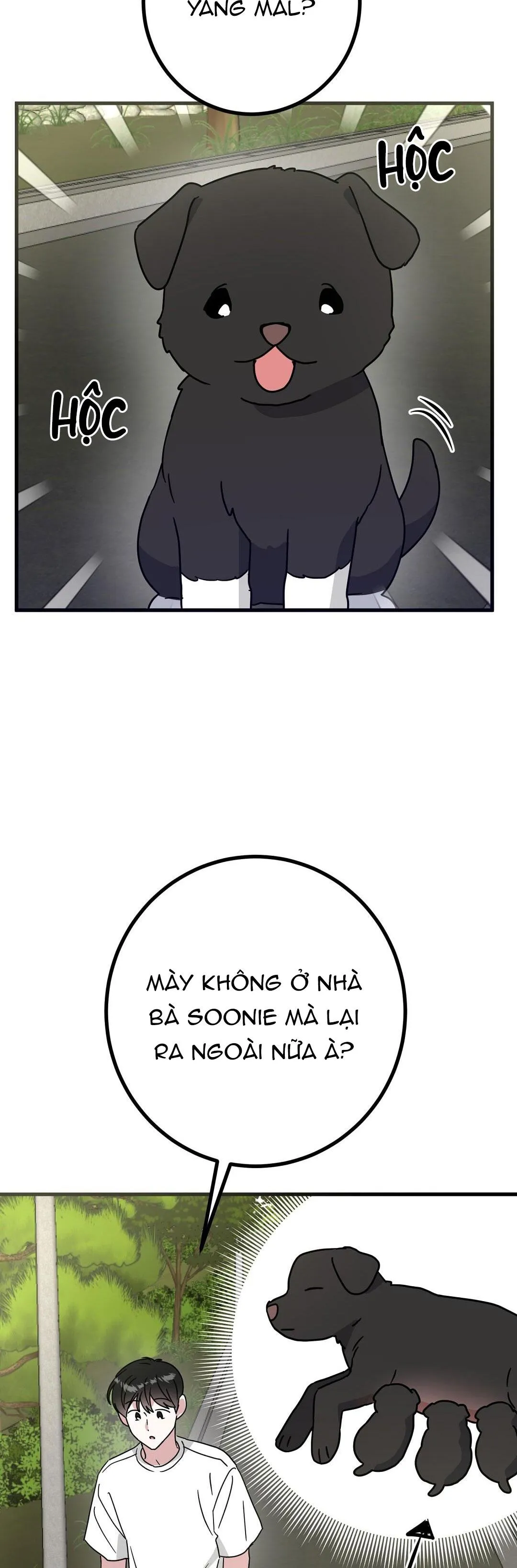 NHÀ TÔI THÀNH PHIM TRƯỜNG MẤT RỒI Chapter 55 Trang 33