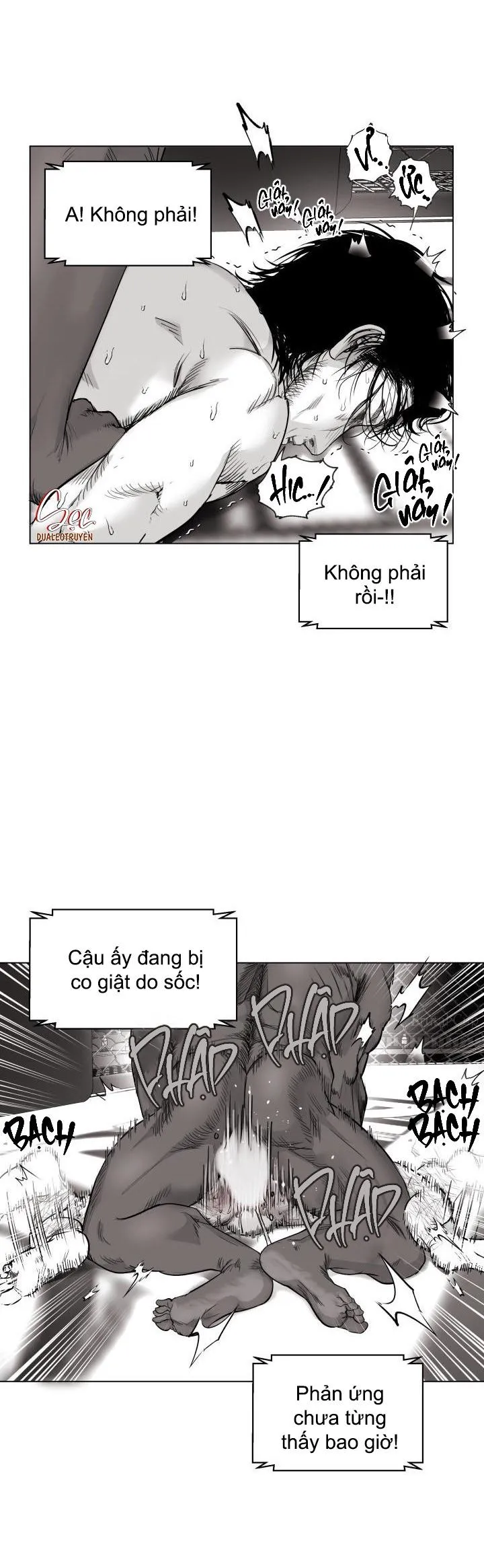 NHÀ VÔ ĐỊCH NGOAN CƯỜNG Chapter 4 Trang 27