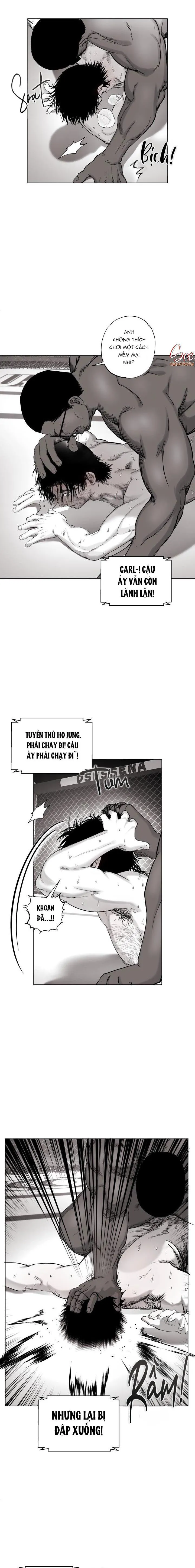 NHÀ VÔ ĐỊCH NGOAN CƯỜNG Chapter 5 Trang 10