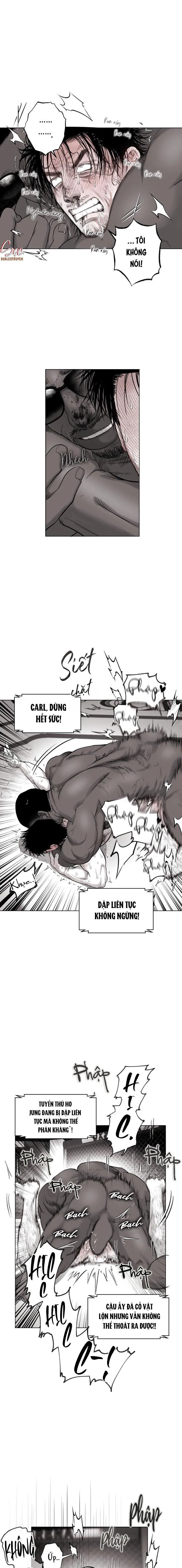 NHÀ VÔ ĐỊCH NGOAN CƯỜNG Chapter 5 Trang 13