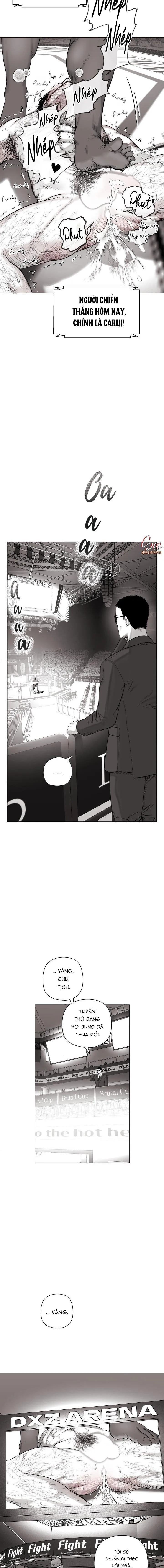 NHÀ VÔ ĐỊCH NGOAN CƯỜNG Chapter 5 Trang 19