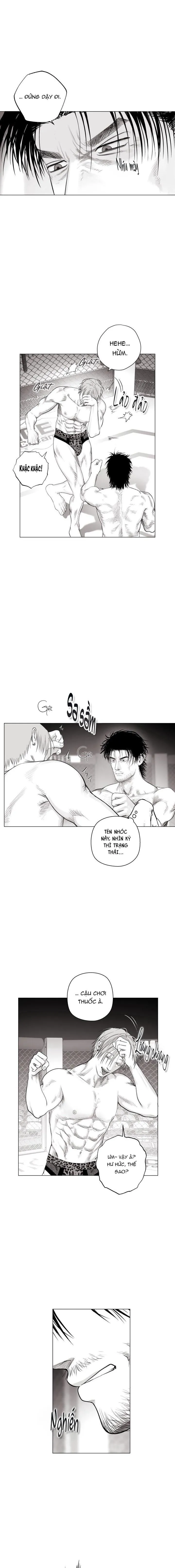 NHÀ VÔ ĐỊCH NGOAN CƯỜNG Chapter 8 Trang 12