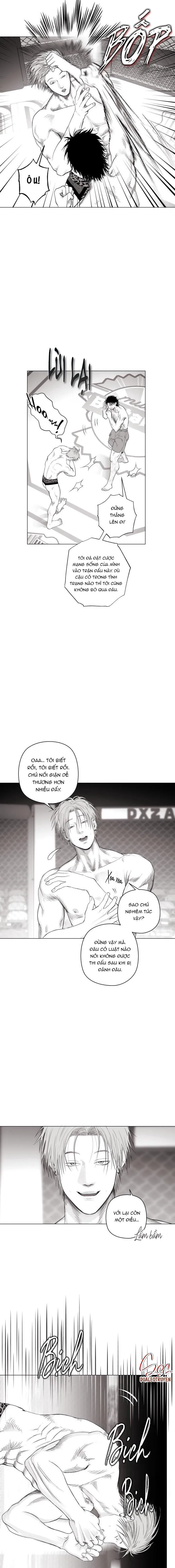 NHÀ VÔ ĐỊCH NGOAN CƯỜNG Chapter 8 Trang 13