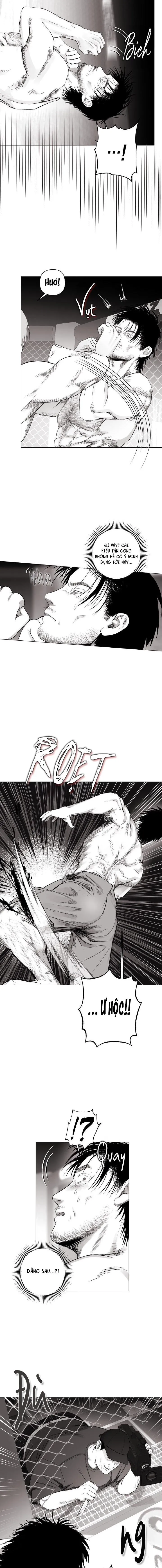 NHÀ VÔ ĐỊCH NGOAN CƯỜNG Chapter 8 Trang 14