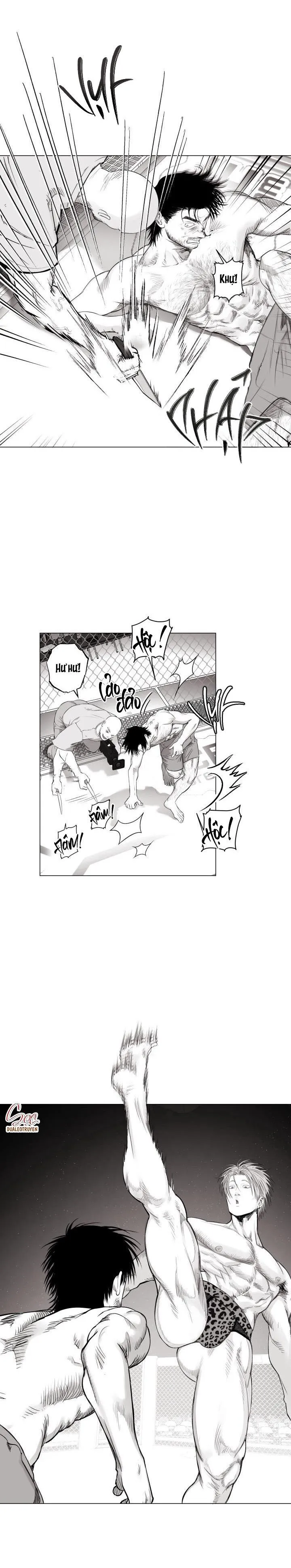 NHÀ VÔ ĐỊCH NGOAN CƯỜNG Chapter 9 Trang 12