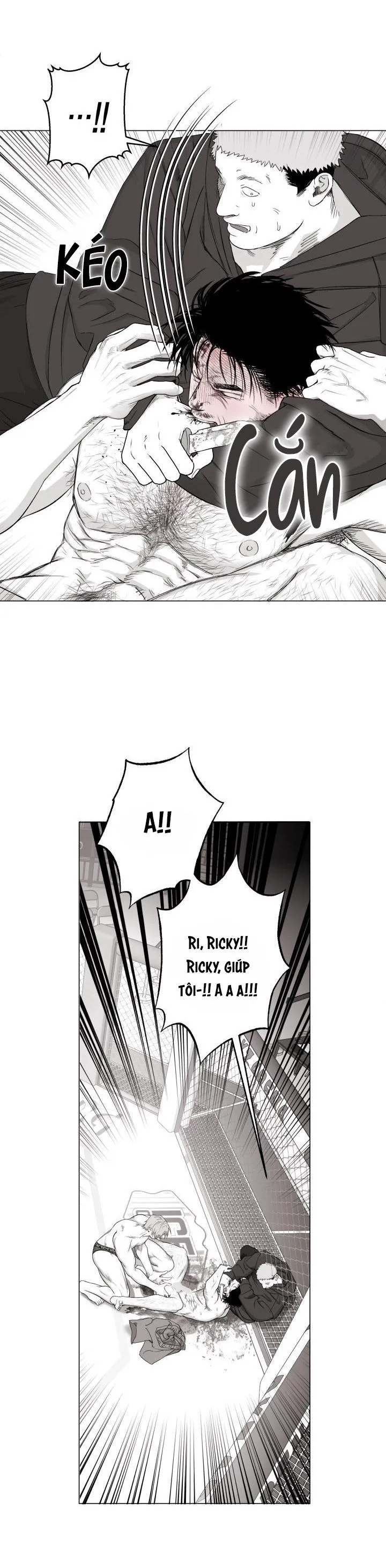 NHÀ VÔ ĐỊCH NGOAN CƯỜNG Chapter 10 Trang 11
