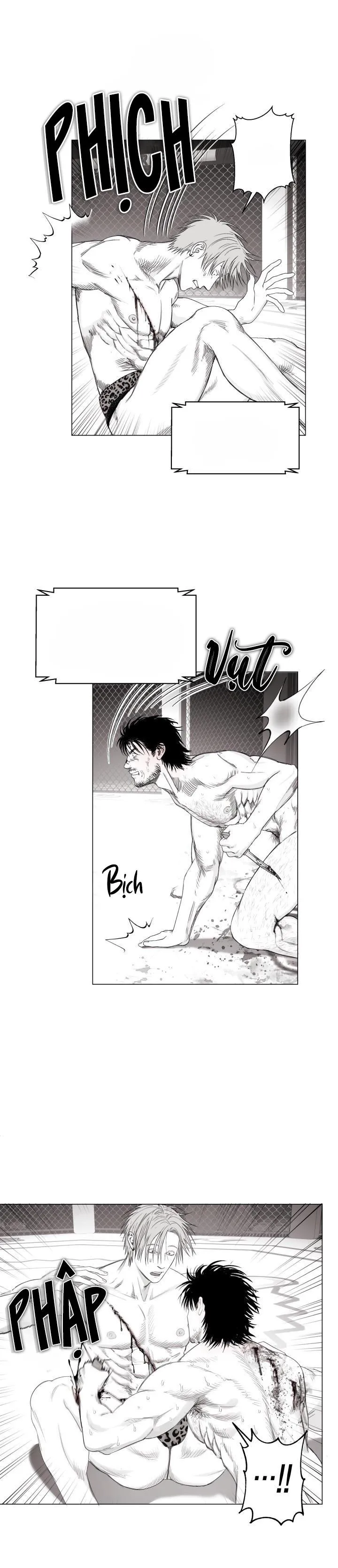 NHÀ VÔ ĐỊCH NGOAN CƯỜNG Chapter 10 Trang 15