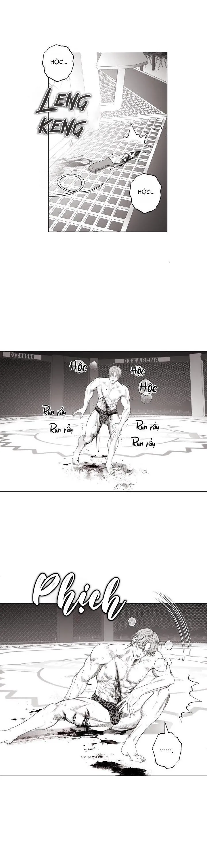 NHÀ VÔ ĐỊCH NGOAN CƯỜNG Chapter 10 Trang 17