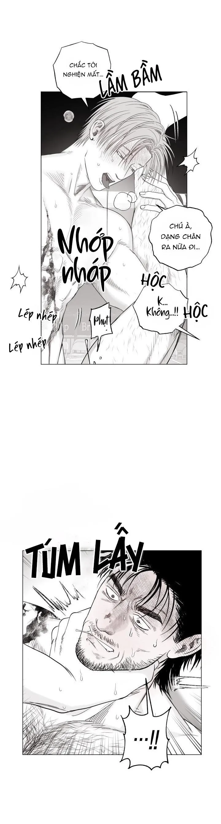 NHÀ VÔ ĐỊCH NGOAN CƯỜNG Chapter 10 Trang 27