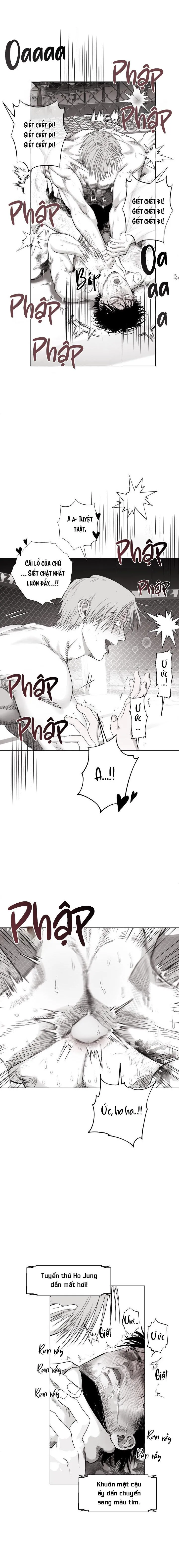 NHÀ VÔ ĐỊCH NGOAN CƯỜNG Chapter 11 Trang 3