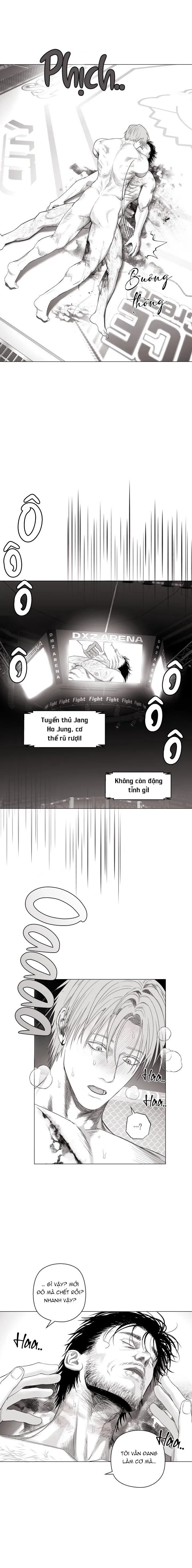 NHÀ VÔ ĐỊCH NGOAN CƯỜNG Chapter 11 Trang 5