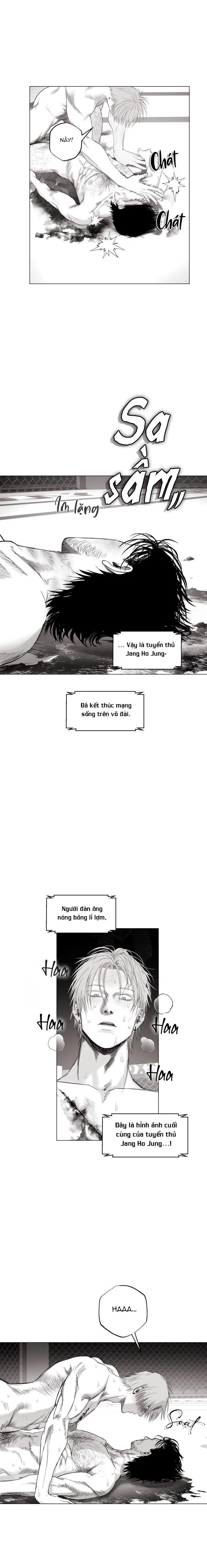 NHÀ VÔ ĐỊCH NGOAN CƯỜNG Chapter 11 Trang 6