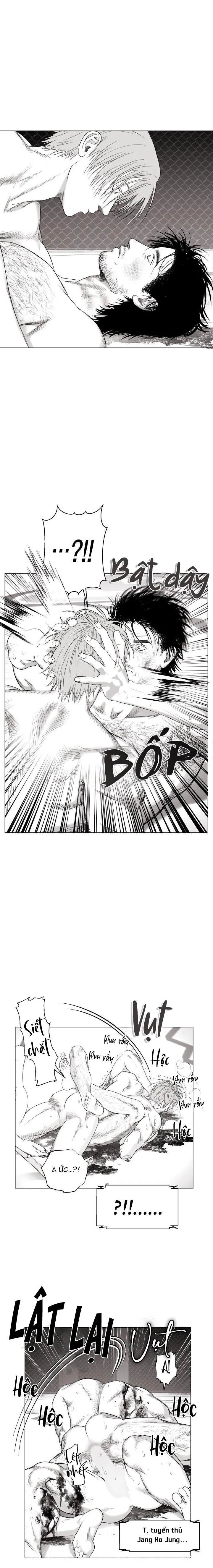 NHÀ VÔ ĐỊCH NGOAN CƯỜNG Chapter 11 Trang 8