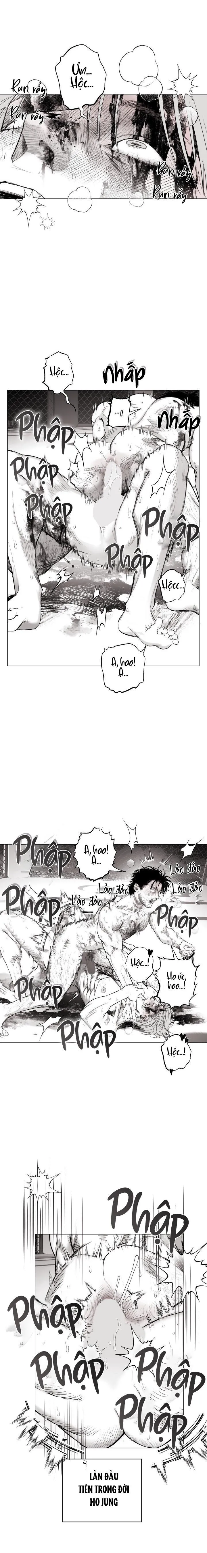 NHÀ VÔ ĐỊCH NGOAN CƯỜNG Chapter 11 Trang 11