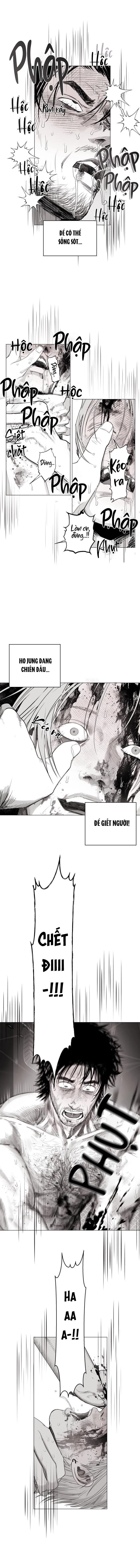 NHÀ VÔ ĐỊCH NGOAN CƯỜNG Chapter 11 Trang 12