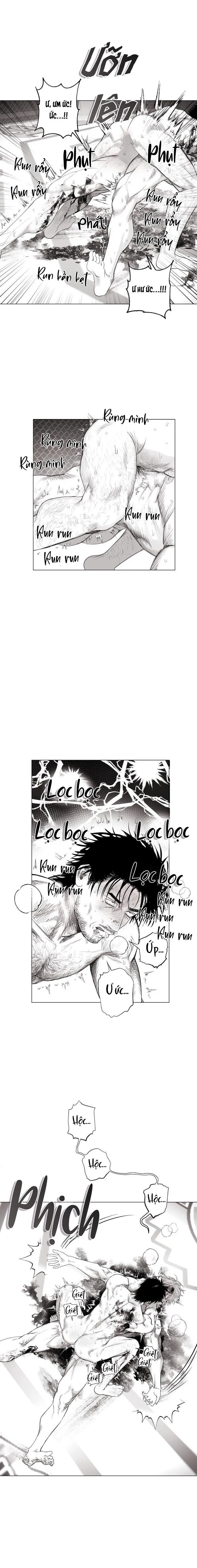 NHÀ VÔ ĐỊCH NGOAN CƯỜNG Chapter 11 Trang 13