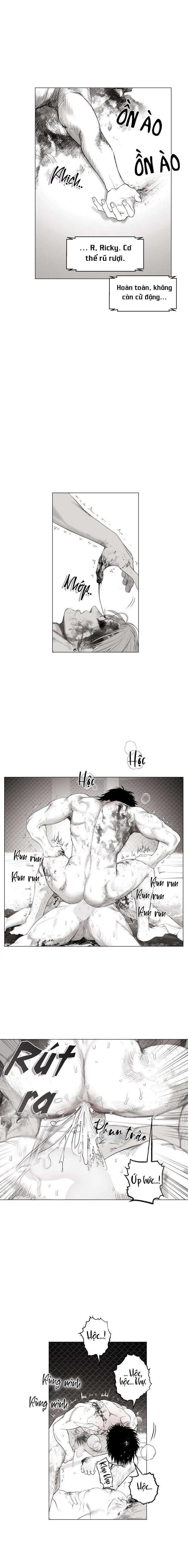 NHÀ VÔ ĐỊCH NGOAN CƯỜNG Chapter 11 Trang 14