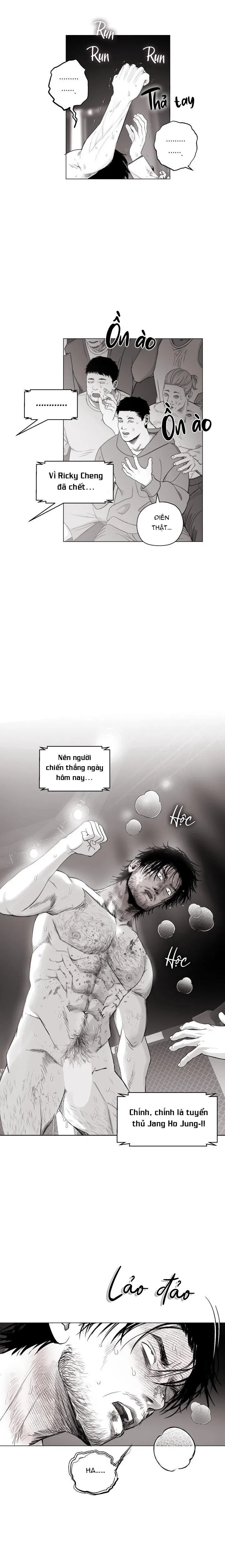 NHÀ VÔ ĐỊCH NGOAN CƯỜNG Chapter 11 Trang 16