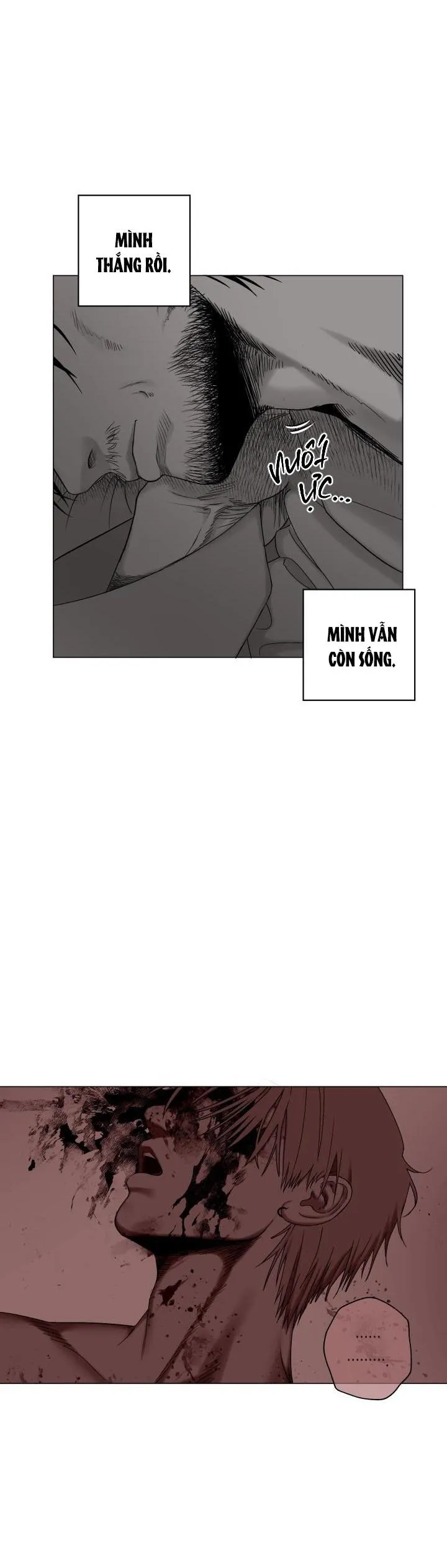 NHÀ VÔ ĐỊCH NGOAN CƯỜNG Chapter 12 Trang 5