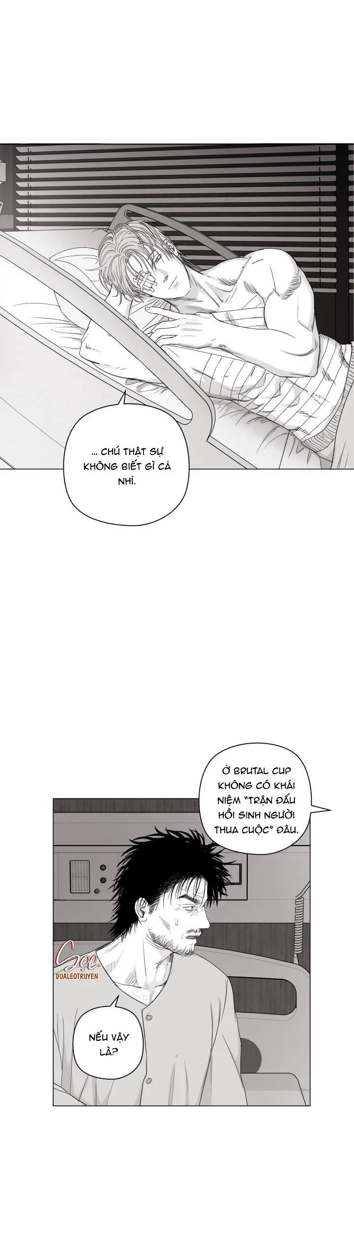 NHÀ VÔ ĐỊCH NGOAN CƯỜNG Chapter 12 Trang 17