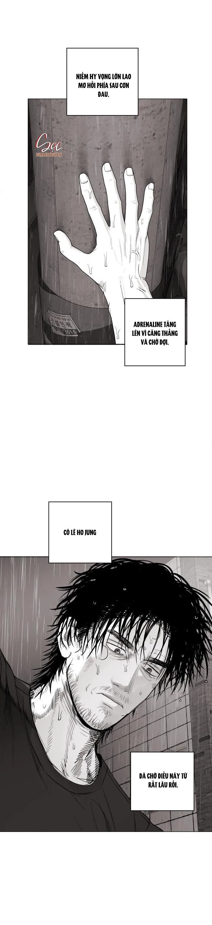 NHÀ VÔ ĐỊCH NGOAN CƯỜNG Chapter 12 Trang 28