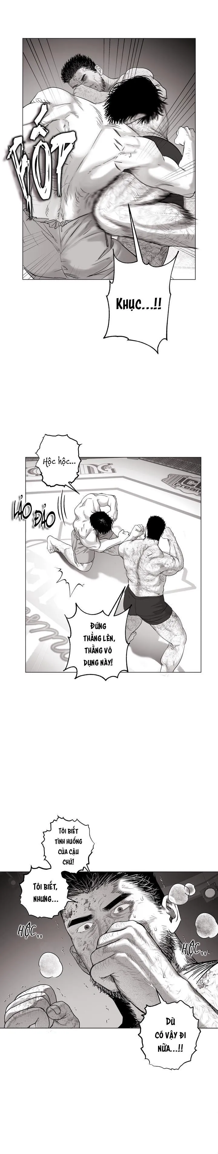 NHÀ VÔ ĐỊCH NGOAN CƯỜNG Chapter 14 Trang 11