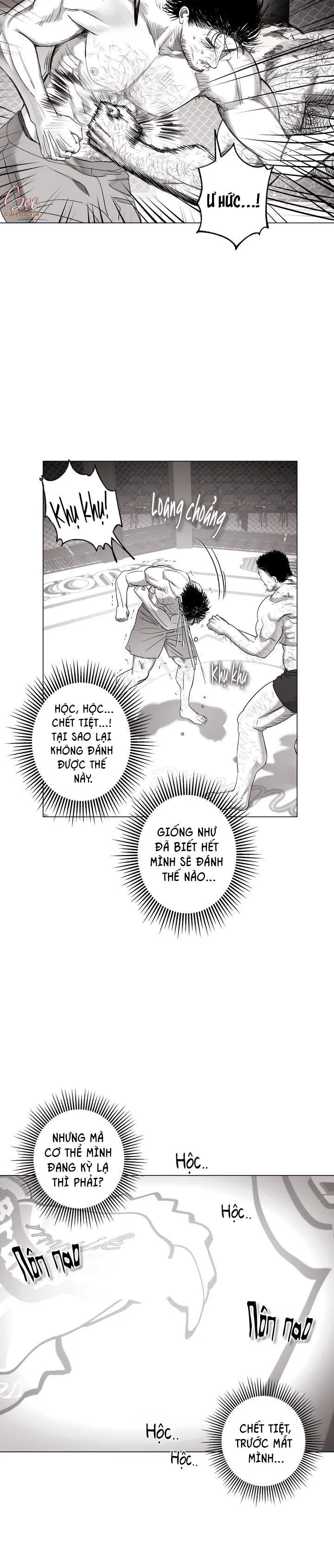 NHÀ VÔ ĐỊCH NGOAN CƯỜNG Chapter 14 Trang 19