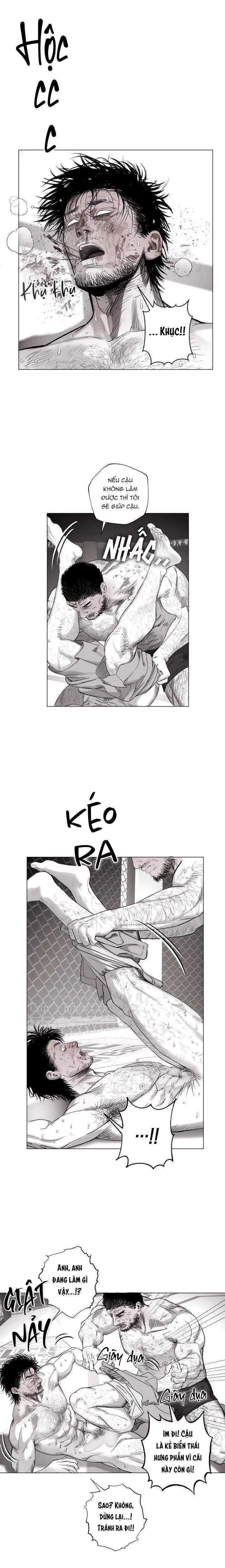 NHÀ VÔ ĐỊCH NGOAN CƯỜNG Chapter 15 Trang 7